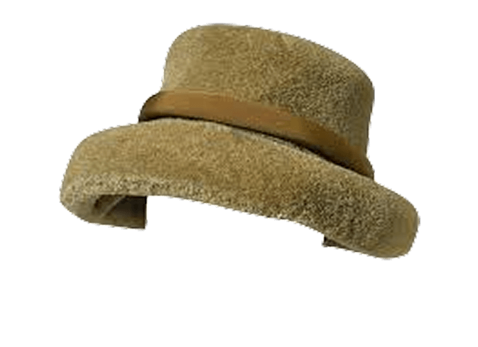 Brown Hat